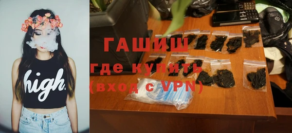 стаф Каменногорск