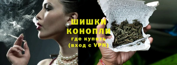 стаф Каменногорск
