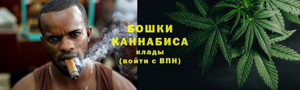 стаф Каменногорск