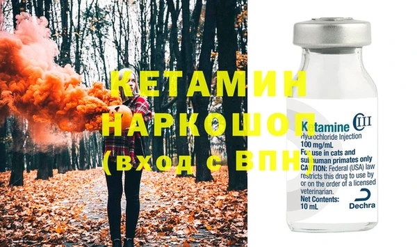стаф Каменногорск