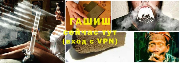 стаф Каменногорск
