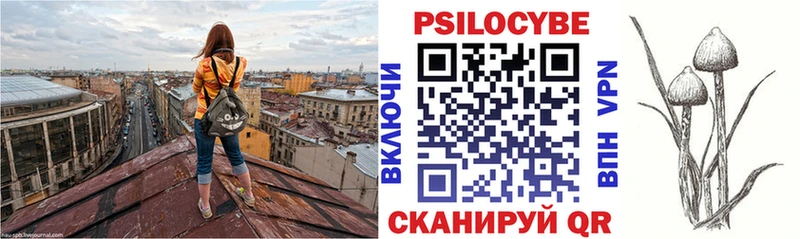 Купить  Гусев  Галлюциногенные грибы Psilocybe 